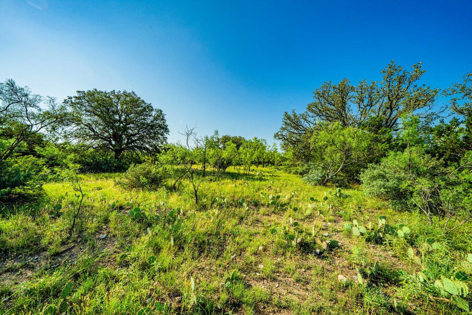 Menard County Twin Oaks Ranch S of Menard Texas Ranches For Sale